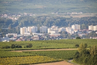 Ballontage Krems - Langenlois