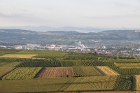 Ballontage Krems - Langenlois