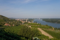 Blick vom Pfaffenberg