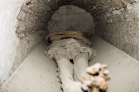 Piaristenkirche - Krypta