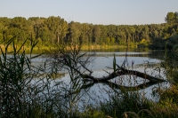 Seethalerlacke in Krems