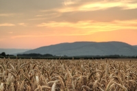 Sonnenuntergang - Neubergweg in Furth