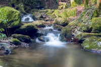 Steinbachklamm