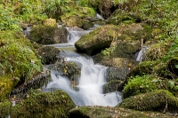 Steinbachklamm