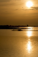 Sunset - Ca'Ballarin (Lagune von Venedig, Italien)