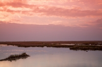 Sunset - Lio Piccolo (Lagune von Venedig, Italien)