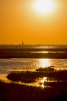 Sunset - Lio Piccolo (Lagune von Venedig, Italien)