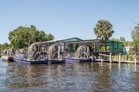 Everglades