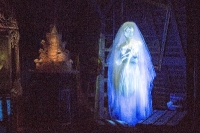 Magic Kingdom Park