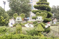 Magic Kingdom Park