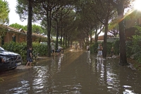Gewitter