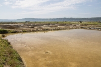  Krajinski park Sečoveljske soline