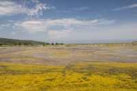  Krajinski park Sečoveljske soline