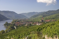 Wachau